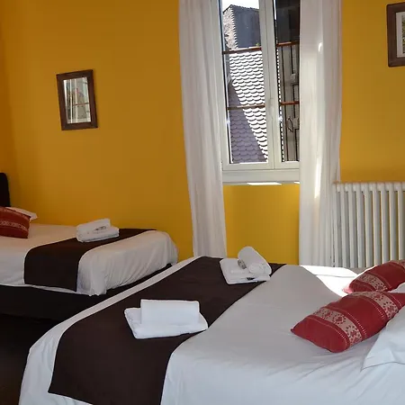 Hotel Du Château Annecy